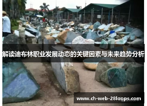 解读迪布林职业发展动态的关键因素与未来趋势分析 解读迪布林职业发展动态的关键因素与未来趋势分析